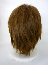 Suzumiya Haruhi Koizumi Itsuki Cosplay Wig