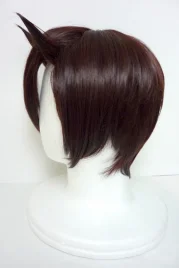 Inazuma Eleven Endo Mamoru Cosplay Wig