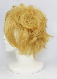 Karneval Yogi Cosplay Wig