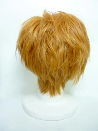 Rewrite Kotarou Tennouji Cosplay Wig