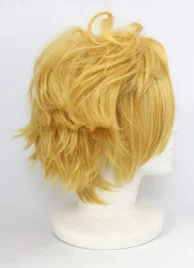 Karneval Yogi Cosplay Wig