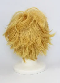 Karneval Yogi Cosplay Wig