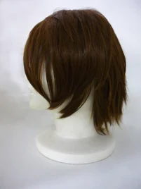 Suzumiya Haruhi Koizumi Itsuki Cosplay Wig