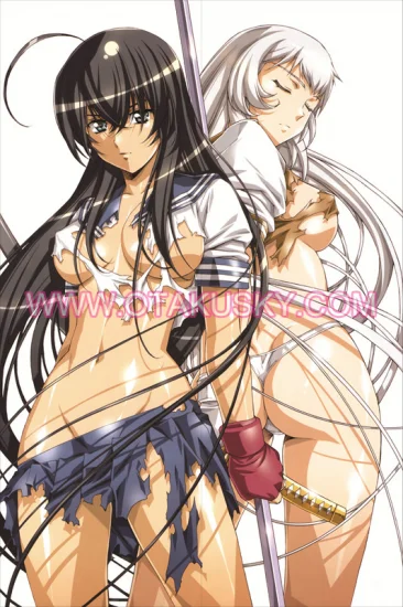 Battle Vixens Shiryuu Chouun Body Pillow Case 03 - Click Image to Close